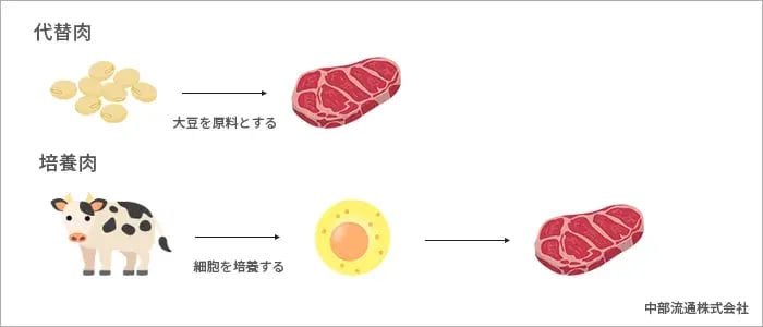 代替肉と培養肉の説明イラスト